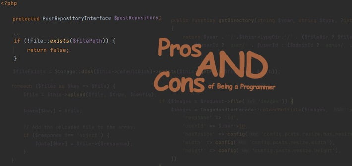 Pros and Cons of Being a Programmer