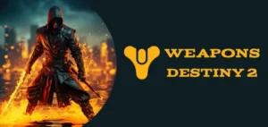 Most Used Weapons Destiny 2